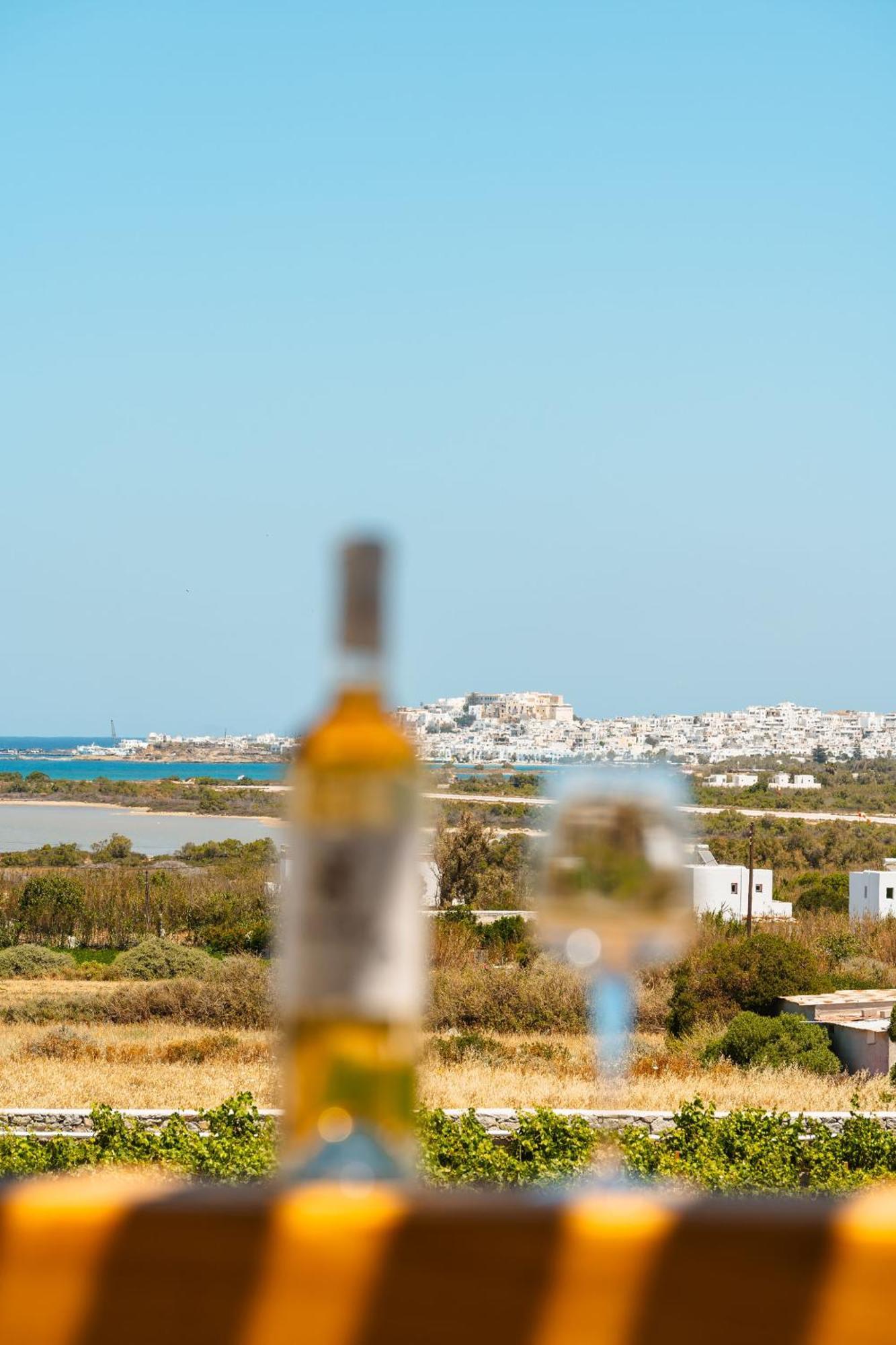 Sunday Luxury Suites Agia Anna  Eksteriør billede