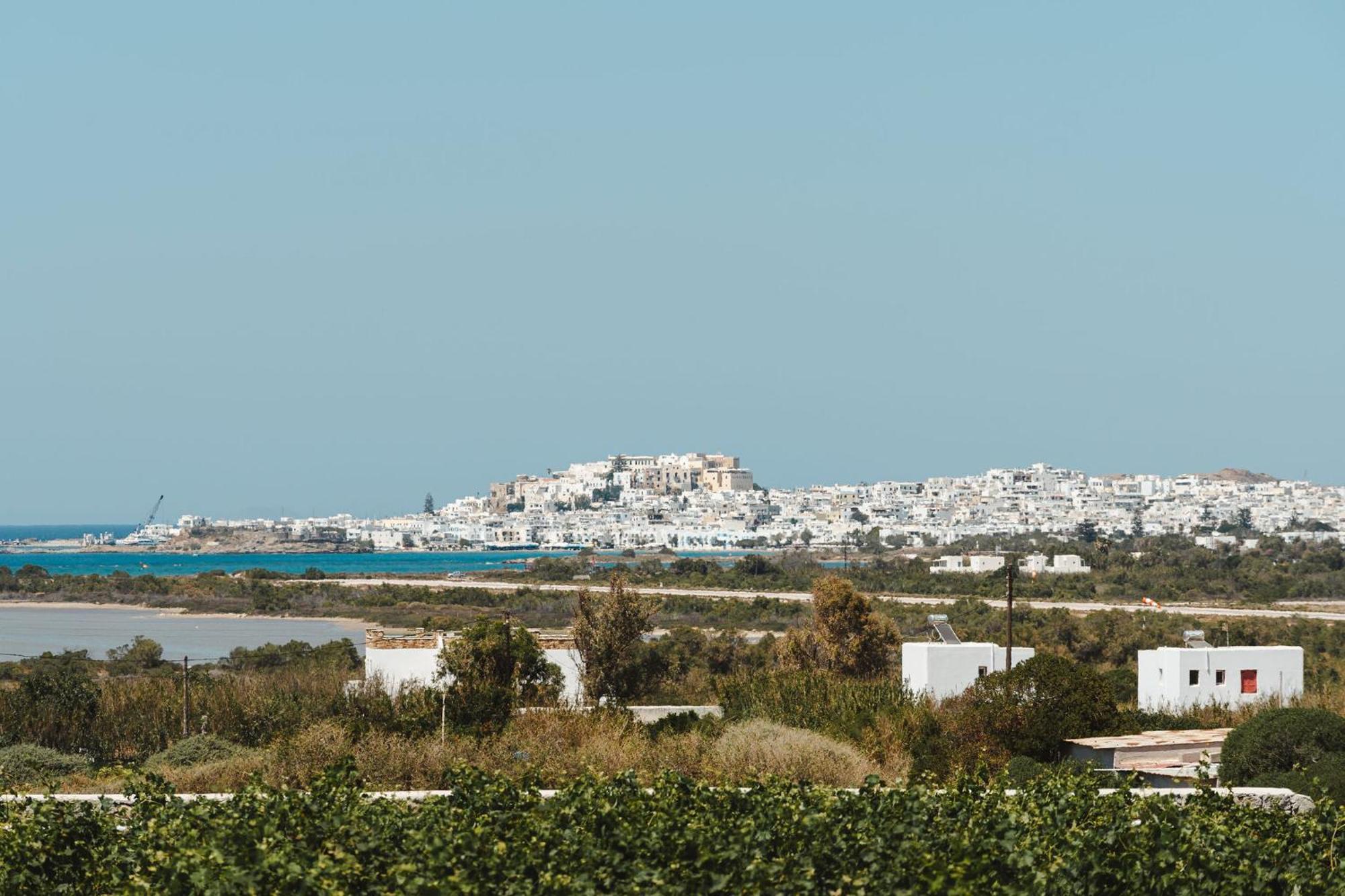 Sunday Luxury Suites Agia Anna  Eksteriør billede